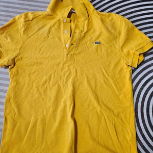 라코스테 정품 카라티 이미지