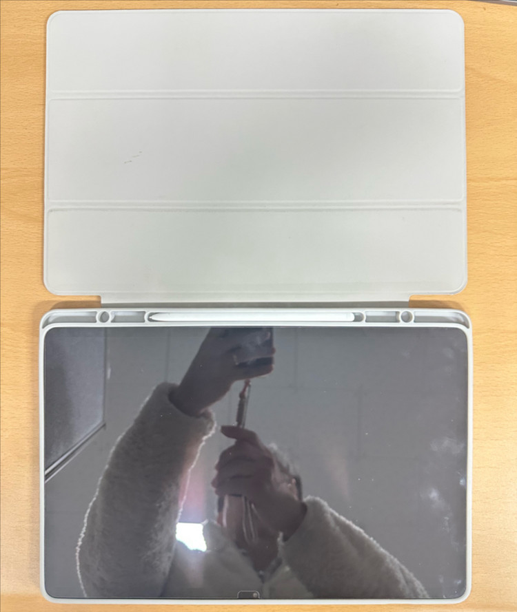 삼성전자 갤럭시탭 S10 FE 플러스 256GB, 5G 그레이--5