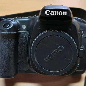 캐논 20d