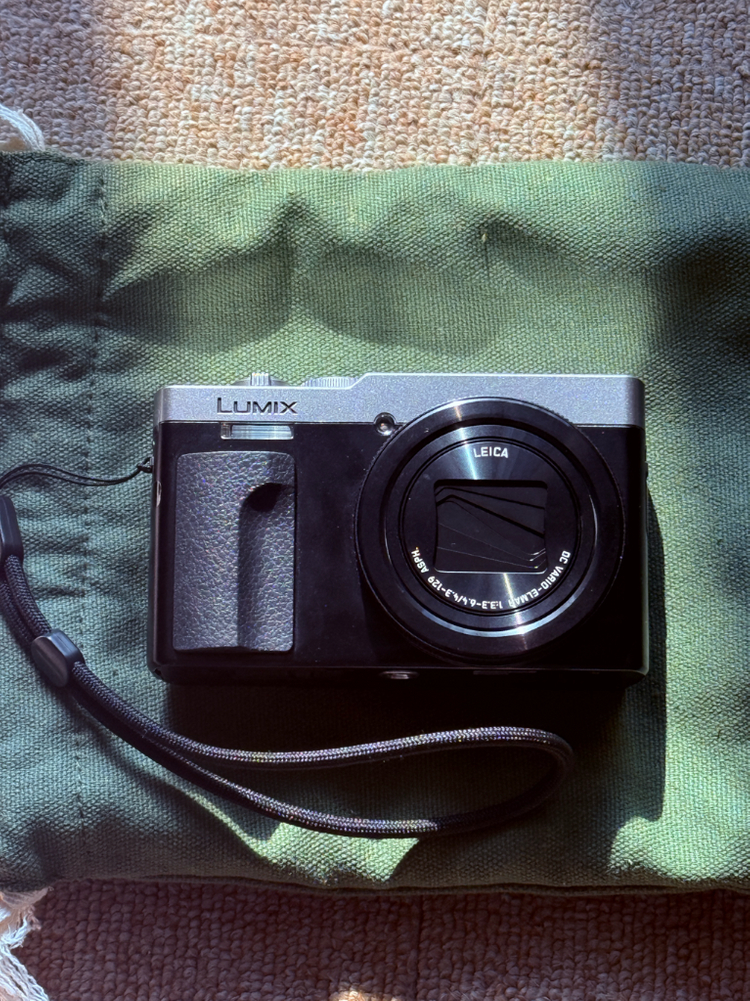 파나소닉 루믹스 DC-TZ99 (작례o)--1