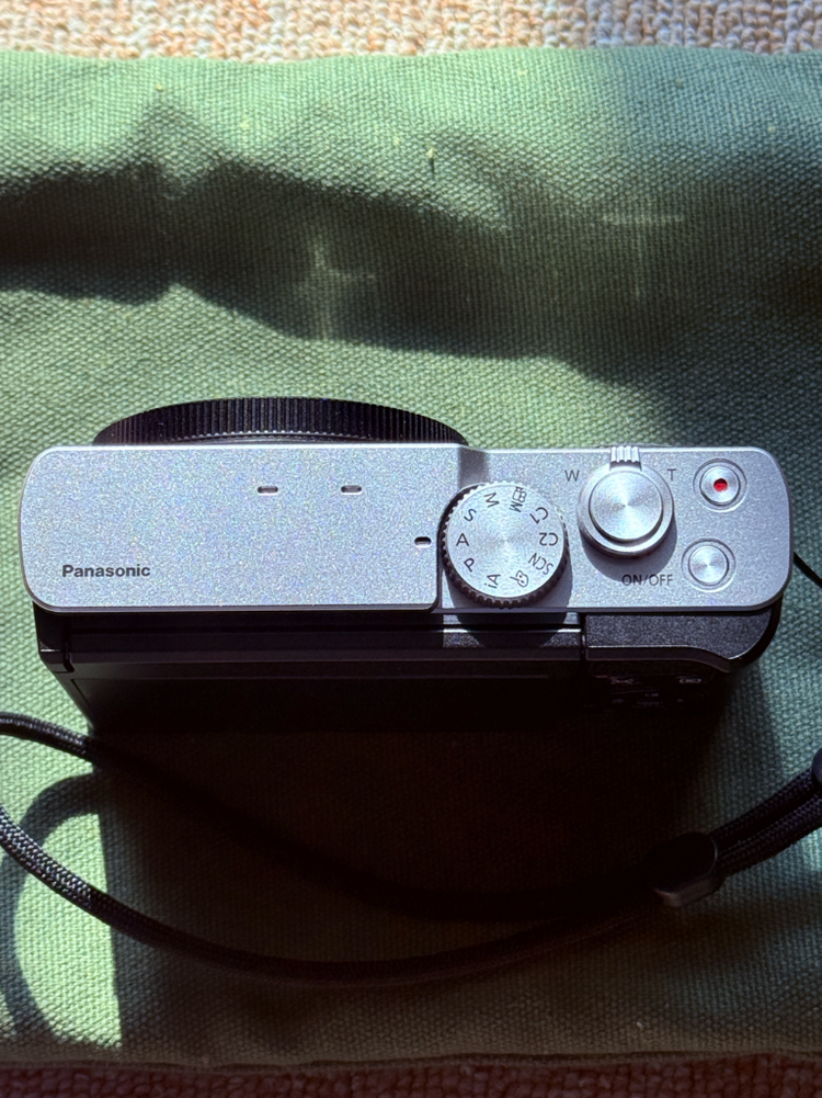 파나소닉 루믹스 DC-TZ99 (작례o)--2