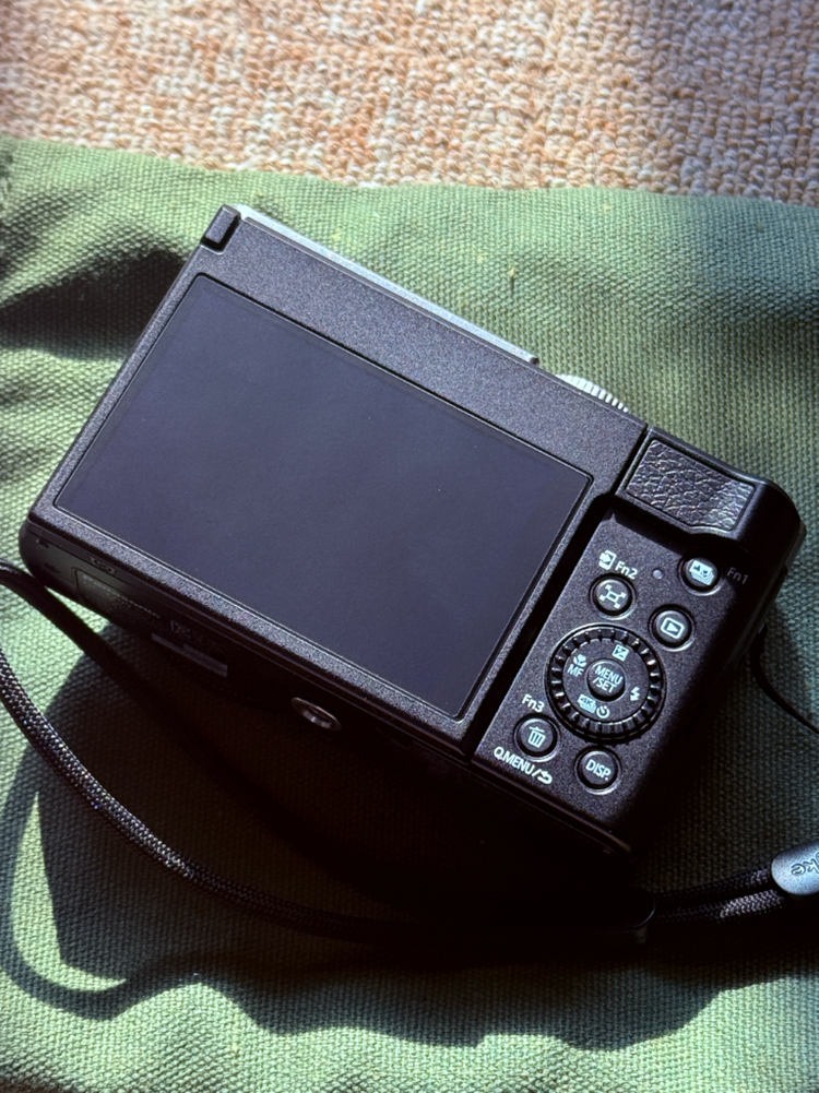 파나소닉 루믹스 DC-TZ99 (작례o)--3