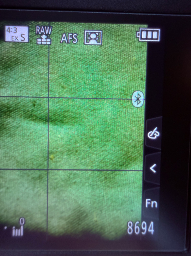 파나소닉 루믹스 DC-TZ99 (작례o)--4