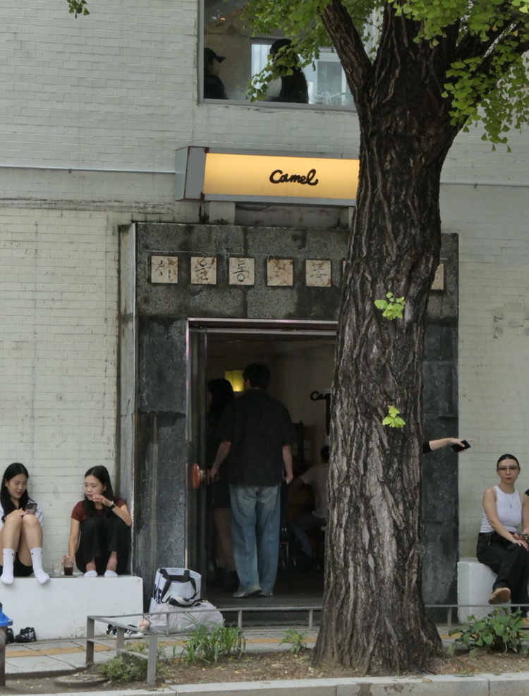 파나소닉 루믹스 DC-TZ99 (작례o)--5