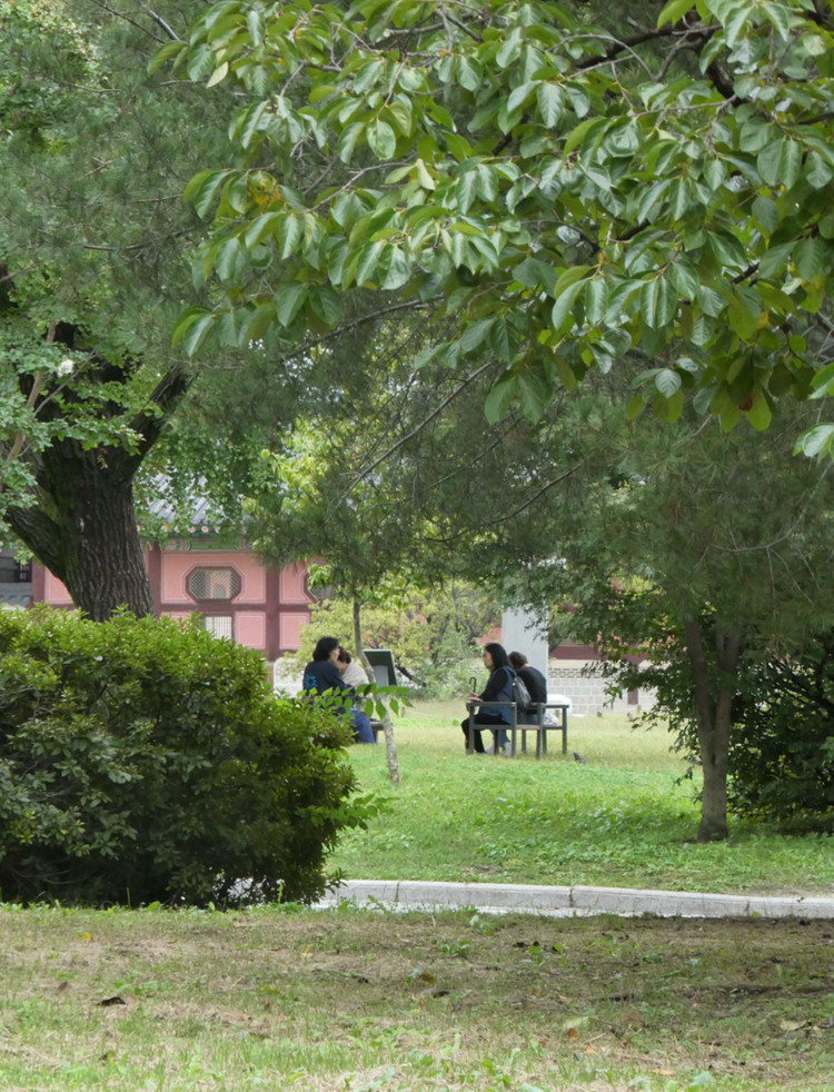 파나소닉 루믹스 DC-TZ99 (작례o)--6