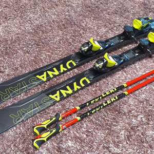 다이나스타 스키 160, 레키폴 110,고급 스키백185