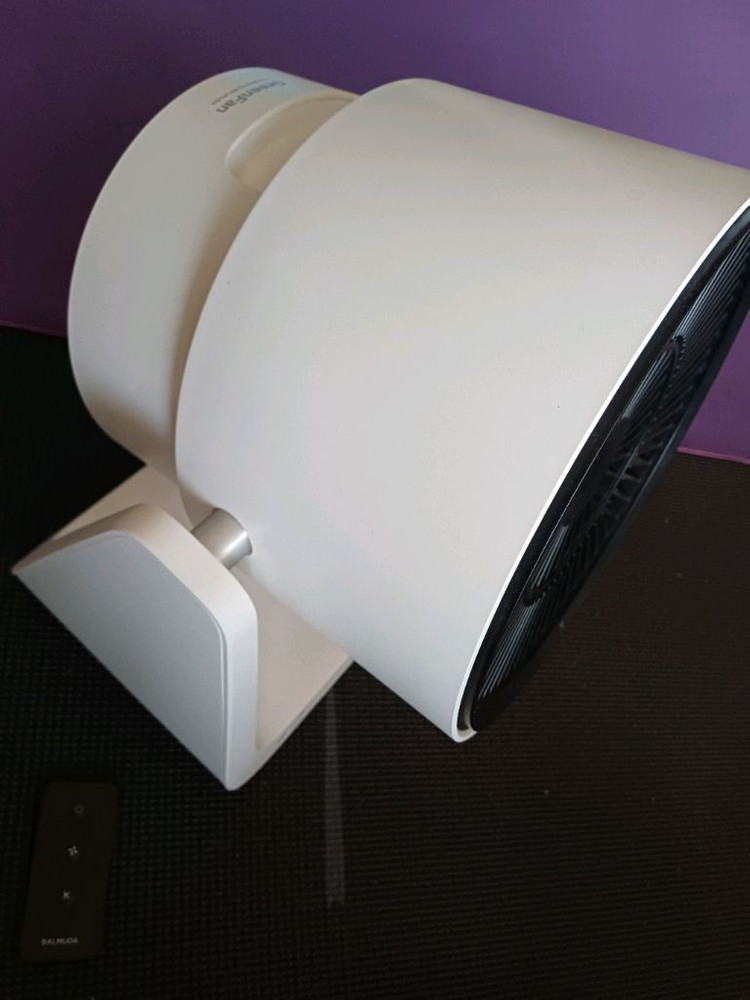 발뮤다 그린팬 c2, 보네이도 서큘레이터 판매 이미지