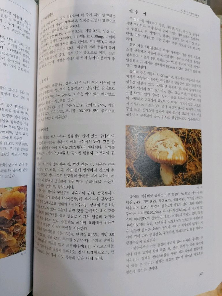 한국음식대관 제1권 한국음식의 개관 택비포33000--3