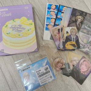 플레이브 노아 생일키트 및 증사 뱃지 포카 등 일괄 판매 이미지