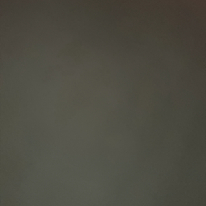 신세계상품권 5만원권