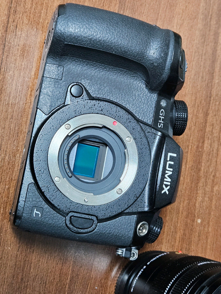 파나소닉 루믹스 GH5 + LEICA 12-60mm 렌즈--0