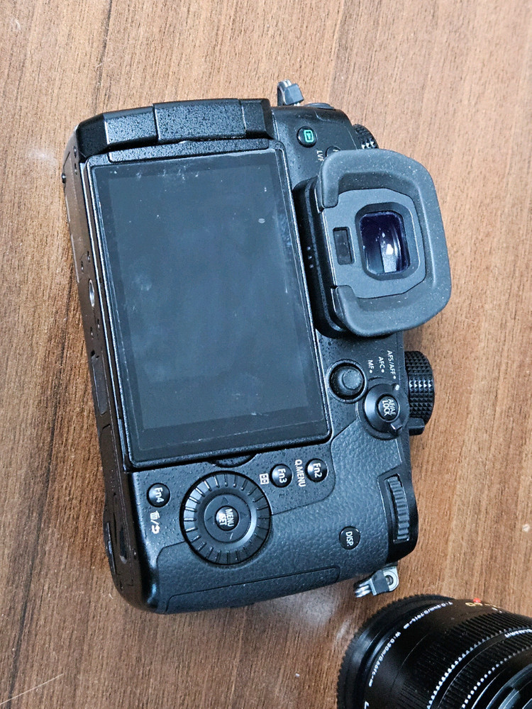 파나소닉 루믹스 GH5 + LEICA 12-60mm 렌즈--2