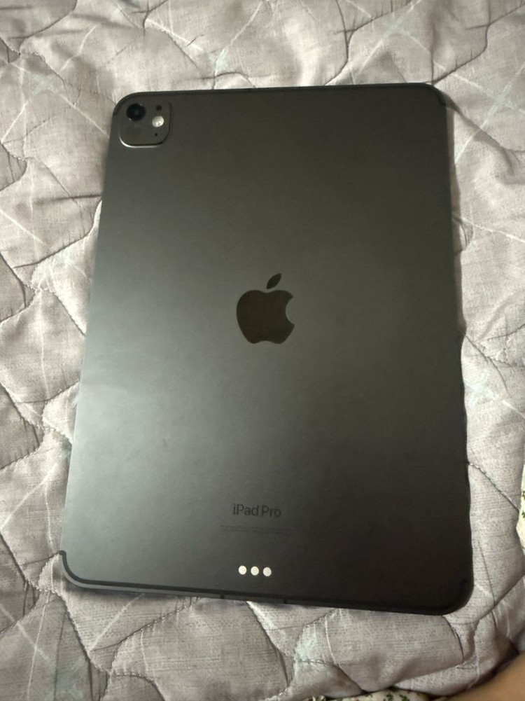 아이패드 프로11인치 M4 256GB(셀룰러)--1