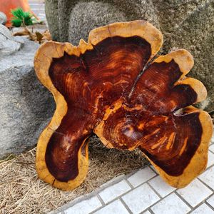 고목재 대추나무 //지판.좌대.좌탁.테이블