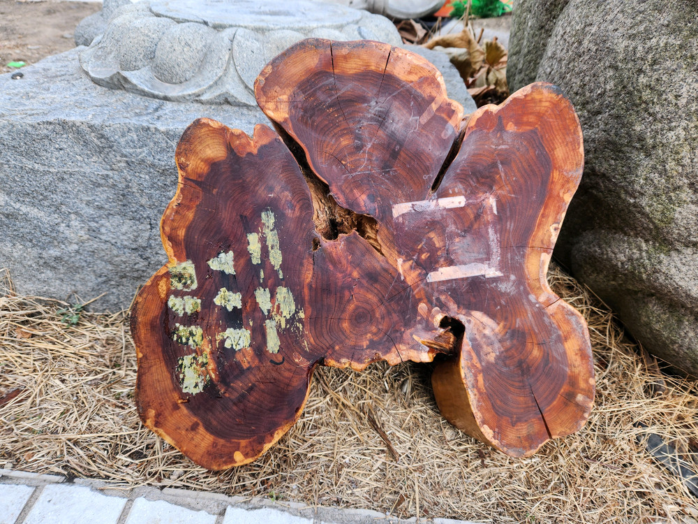 고목재 대추나무 //지판.좌대.좌탁.테이블--3