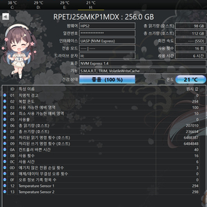 M.2 NVMe SSD 256GB + 10g 인클로저