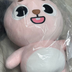 데이식스 day6 자이언트 데니멀즈 필끼 pil 이미지