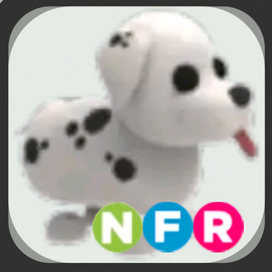 입양 네날타 산강(입양하세요 펫 달마시안) 이미지