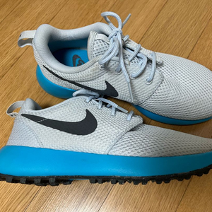 나이키 정품 220사이즈 운동화겸 골프화