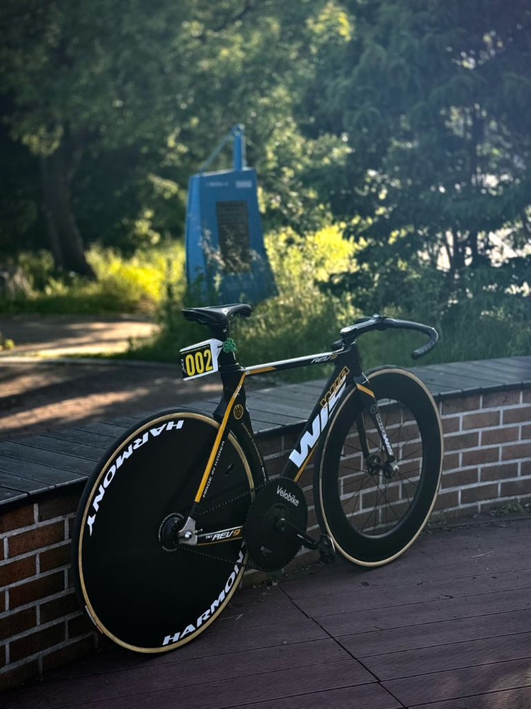 하모니 디스크휠 / 코그, 타이어 포함--5