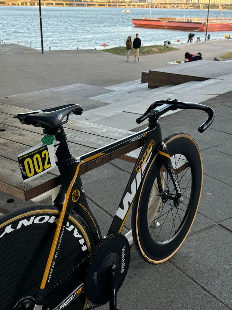 하모니 디스크휠 / 코그, 타이어 포함--6