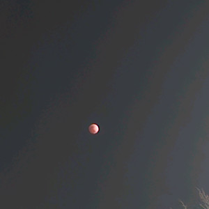 말코닉 ek43 혹은 ek43s