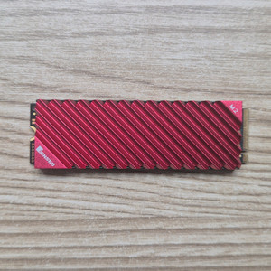 삼성 M.2 NVMe PM9A1 1TB + 방열판