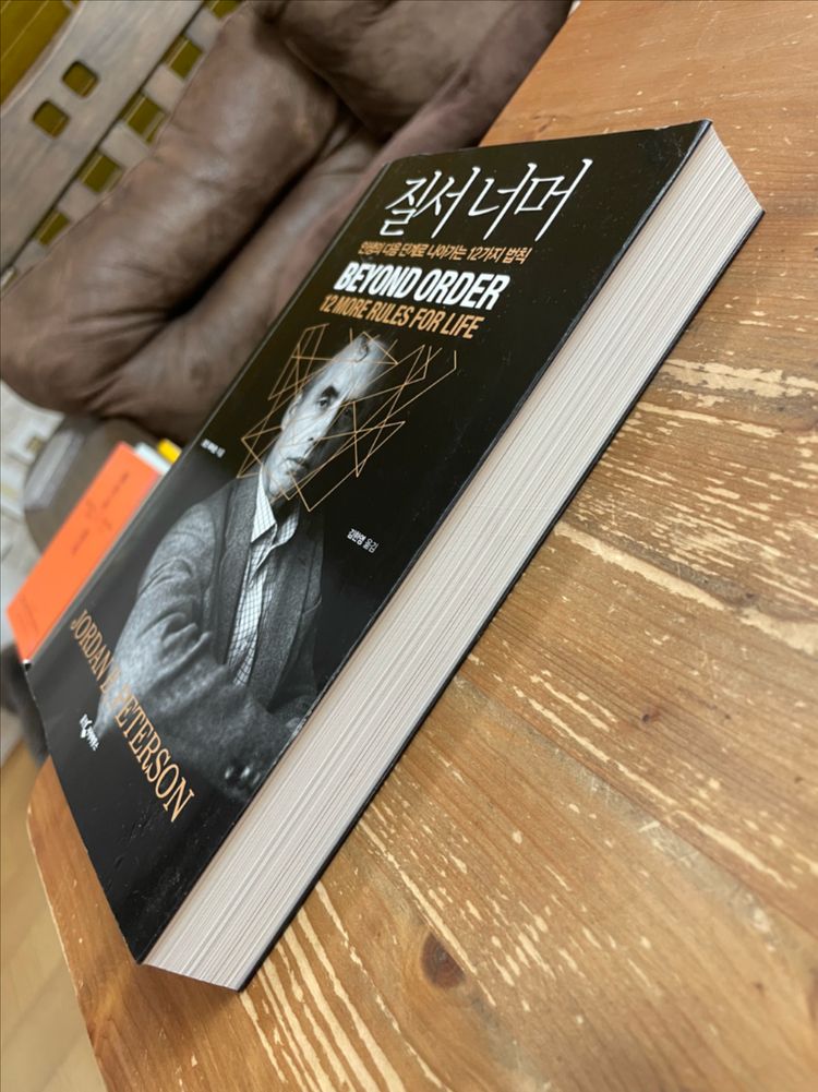 질서 너머 - 조던 피터슨--3