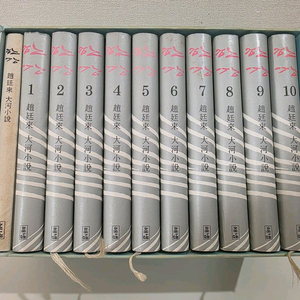 조정래 소설 한강 팝니다 이미지