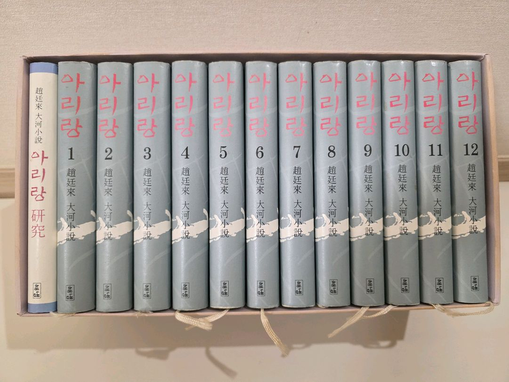 조정래 소설 한강 아리랑 팝니다 이미지