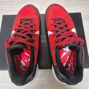 코비6 프로트로 올스타 265