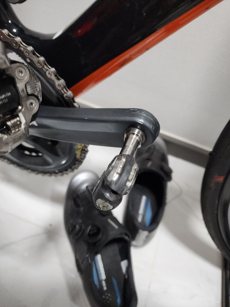 트랙 프로 칼리버 9.5 L 23년식--4