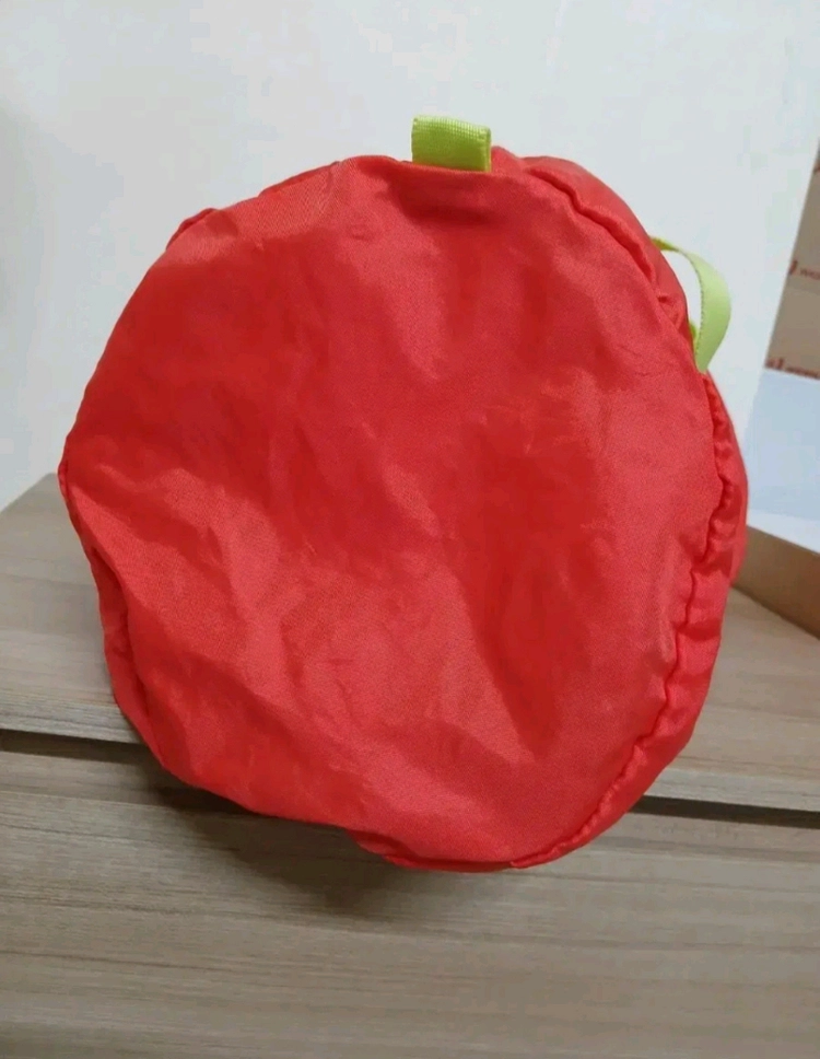 아디다스 아디제로 접이식 가방 , 여행용가방 이미지