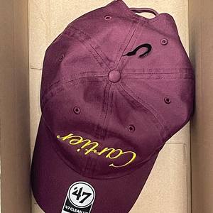 nptsss 까르띠에 자주 볼캡 이미지