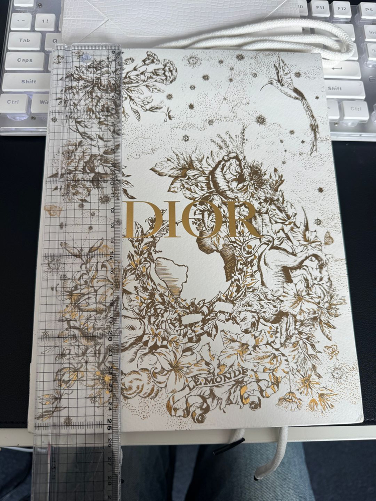 디올 쇼핑백 명품 포장 이미지
