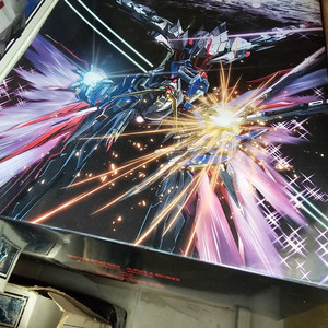 메탈빌드 데스티니+빛의 날개 팝니다 (하이네 버전)