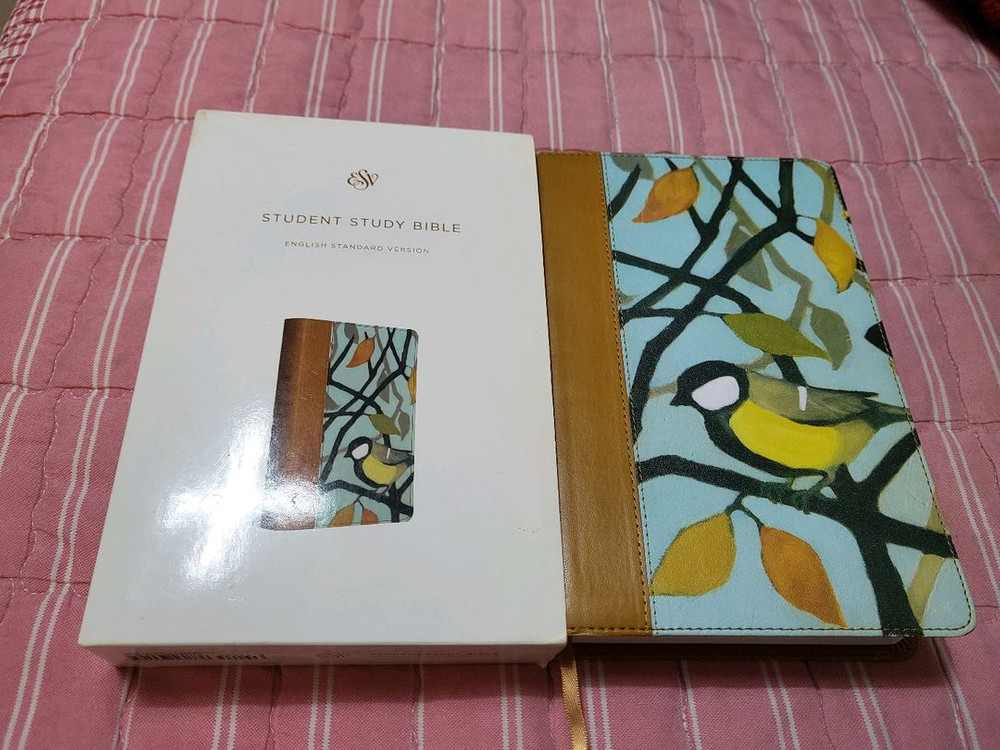영어성경 ESV student study bible 이미지