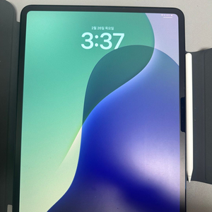 아이패드 프로 13 M4 256 gb wifi 모델 이미지