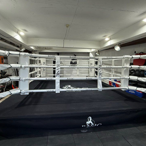 복싱 링 4x4 한달사용한 링세트 판매합니다 이미지