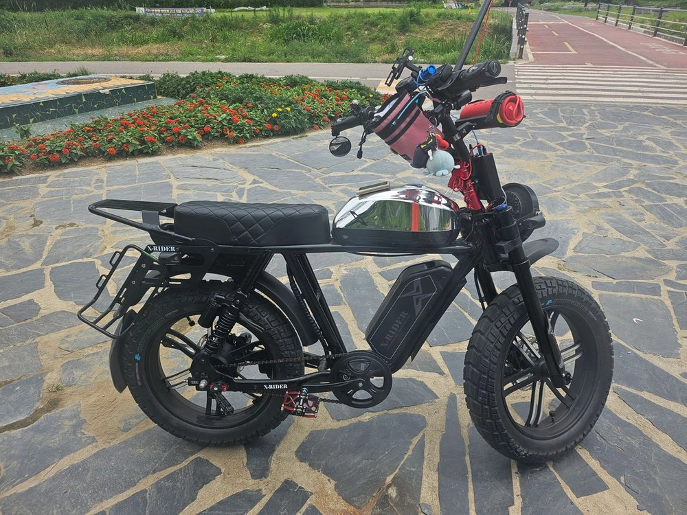 2024년형 엑스라이더 X200 pro 48V 500W (자토바이) 이미지