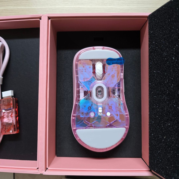 람주 아틀란티스 미니 챔피언 판매합니다.--1