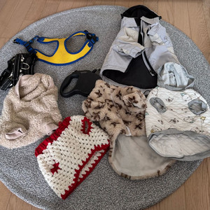 강아지 하네스&옷 이미지