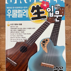 우쿨렐레 생 입문 이미지
