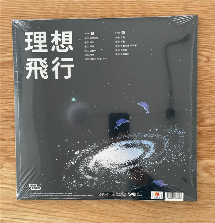 한로로 - 이상비행 [블루 마블 컬러 LP] 이미지