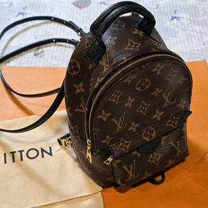 루이비통 미니 백팩 팜스프링