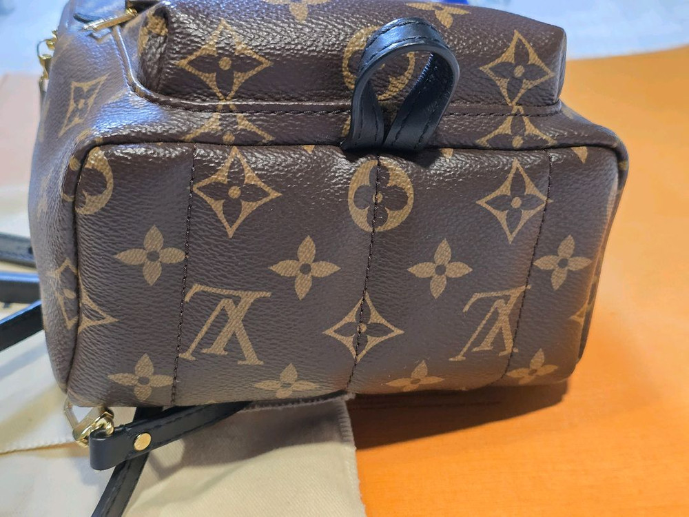 루이비통 미니 백팩 팜스프링--2