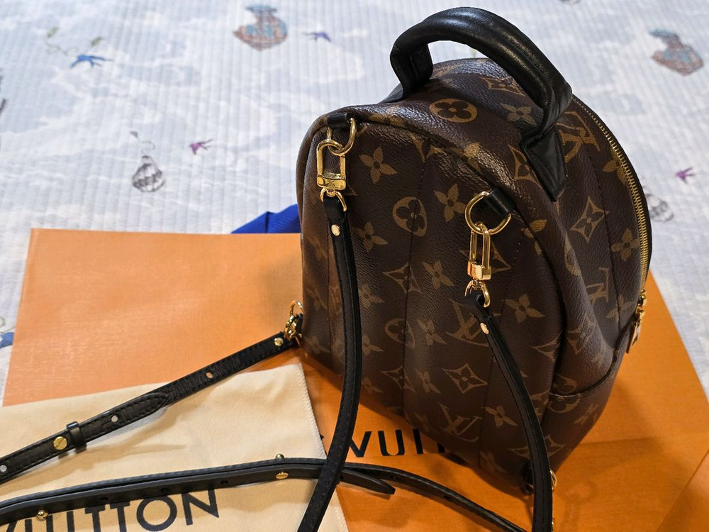 루이비통 미니 백팩 팜스프링--3