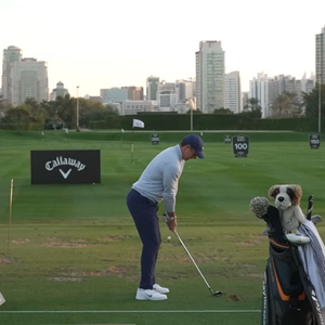 테일러메이드 qi4d 투어 스탠드백