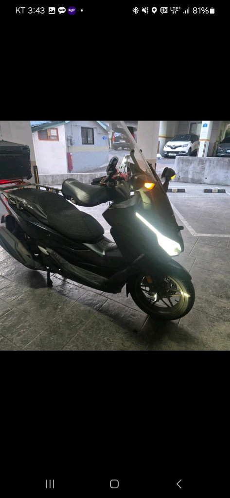 포르자350 25년식 이미지