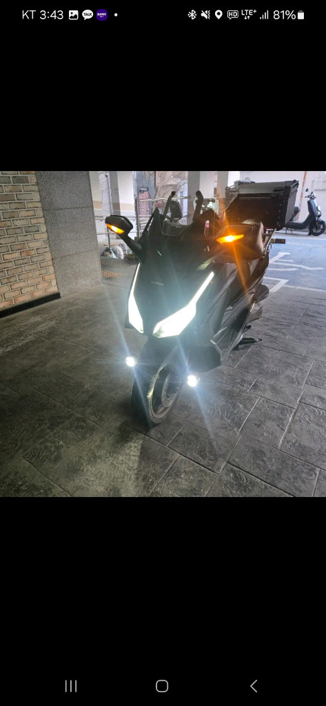 포르자350 25년식 이미지